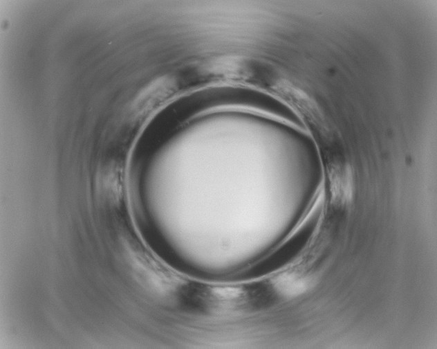 X0000066080376200603241438