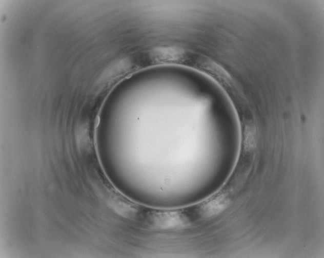 X0000066080377200603241438