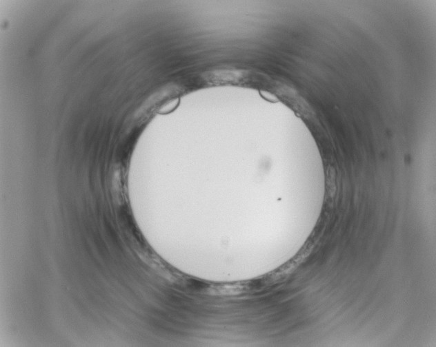 X0000066080378200603241438