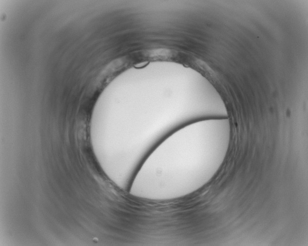 X0000066080379200603241438