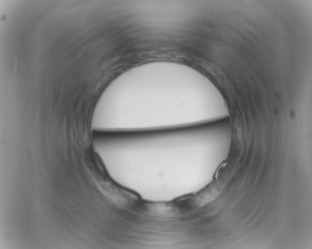 X0000066080380200603241438