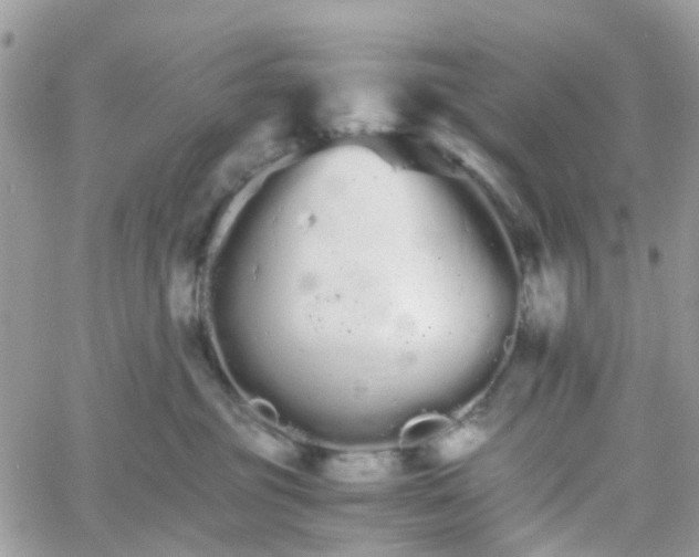 X0000066080381200603241438