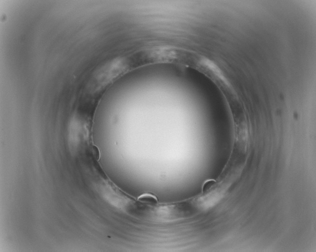 X0000066080382200603241438