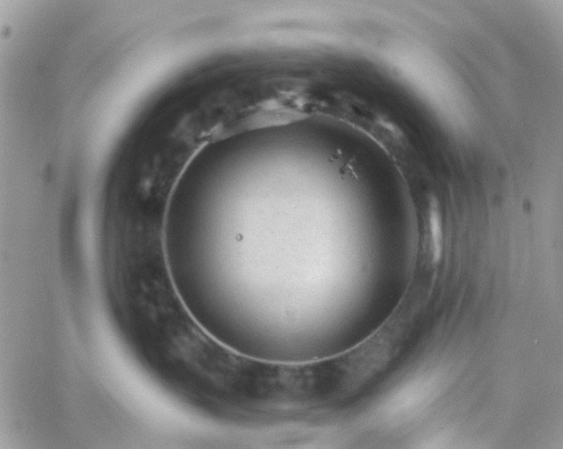 X0000066080383200603241438