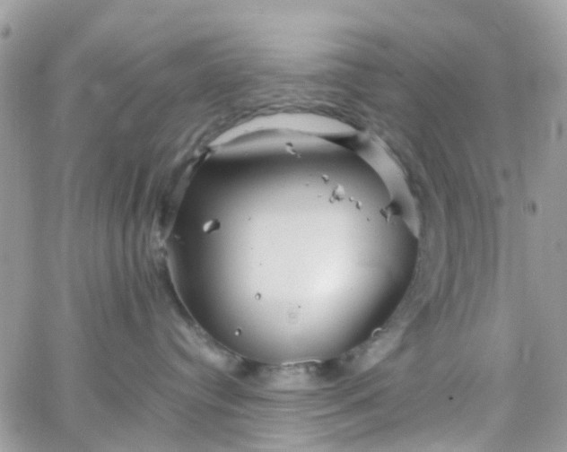 X0000066080384200603241438