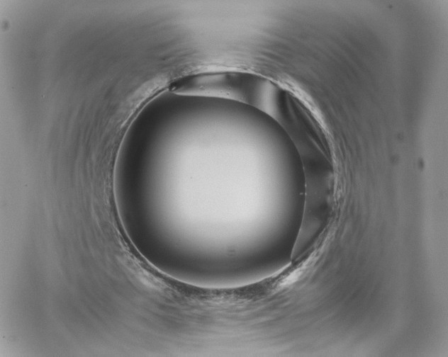 X0000066080385200603241437