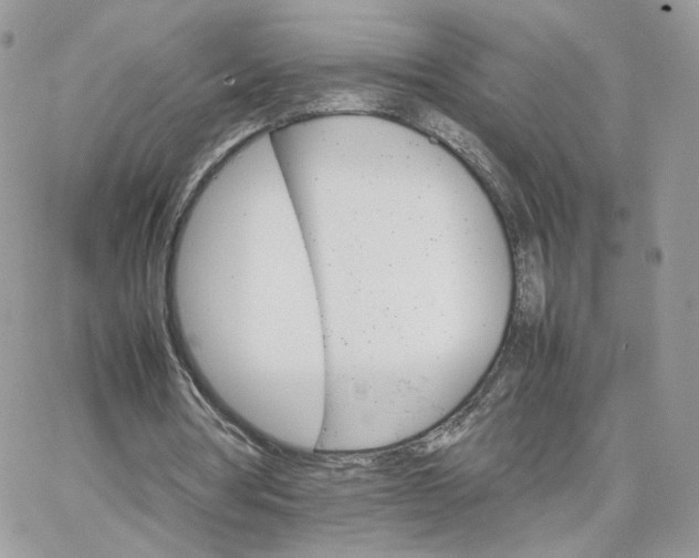 X0000066080386200603241437