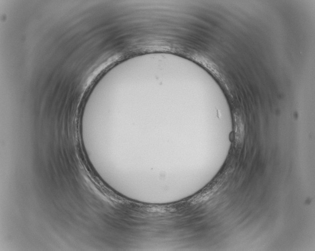 X0000066080390200603241437