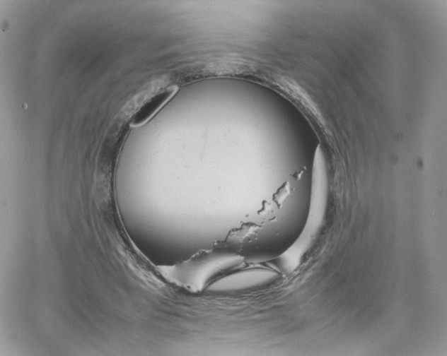 X0000066080393200603241437