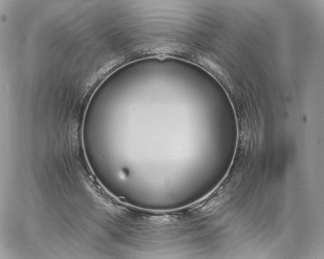 X0000066080394200603241437