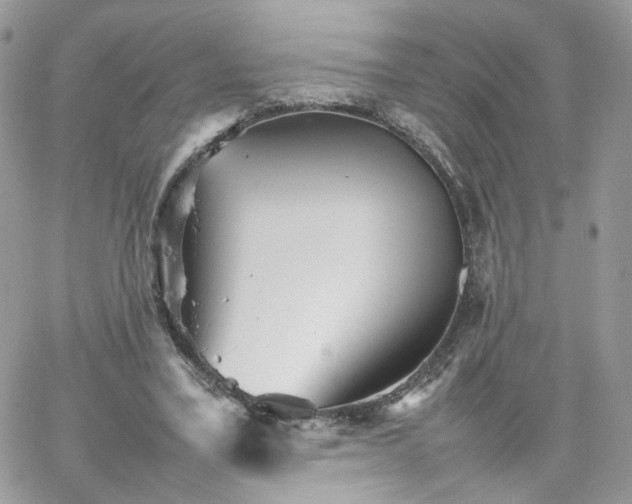 X0000066080395200603241437