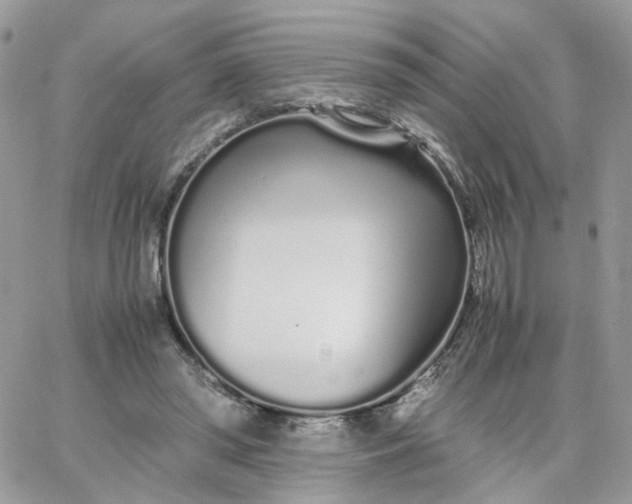 X0000066080398200603241437