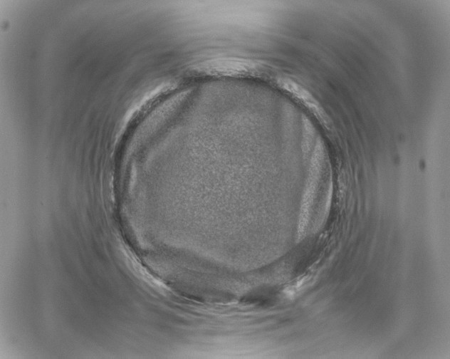 X0000066080399200603241437