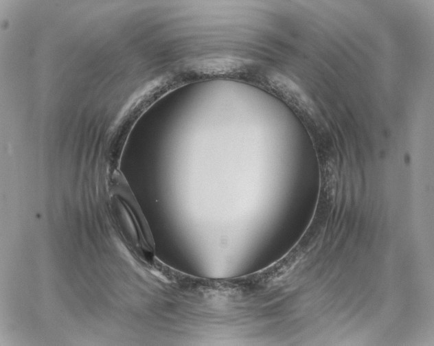 X0000066080400200603241437