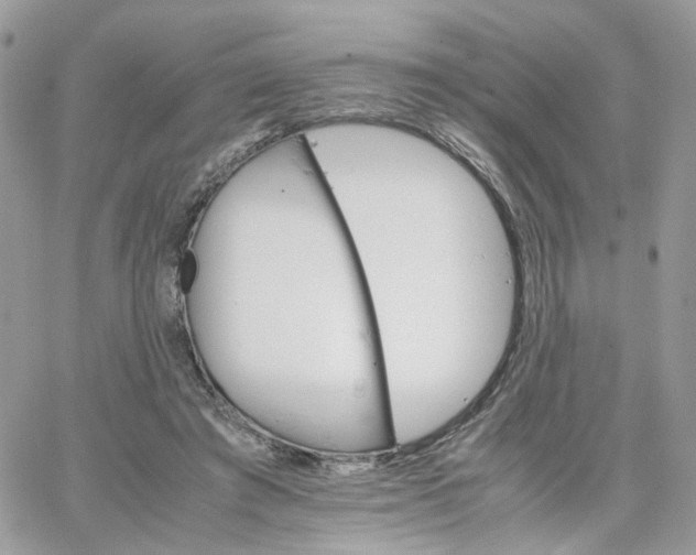 X0000066080401200603241437