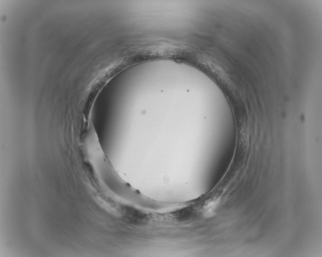 X0000066080403200603241437