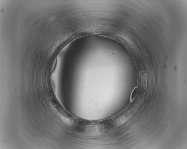 X0000066080404200603241437