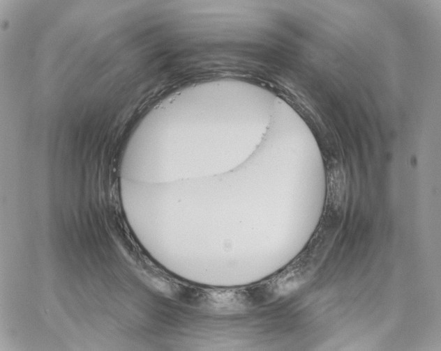 X0000066080406200603241437