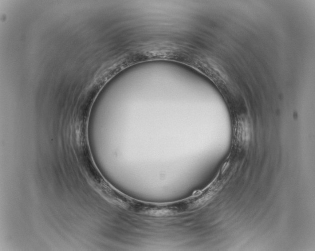 X0000066080408200603241437