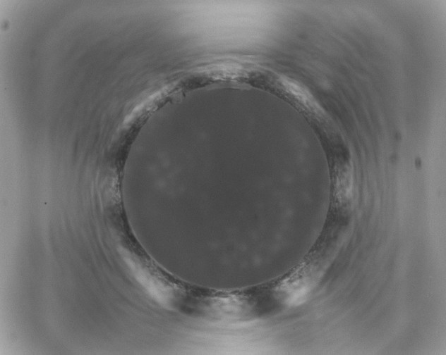 X0000066080411200603241437