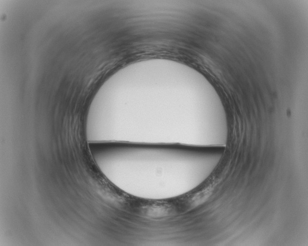 X0000066080412200603241437