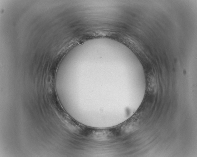 X0000066080414200603241437