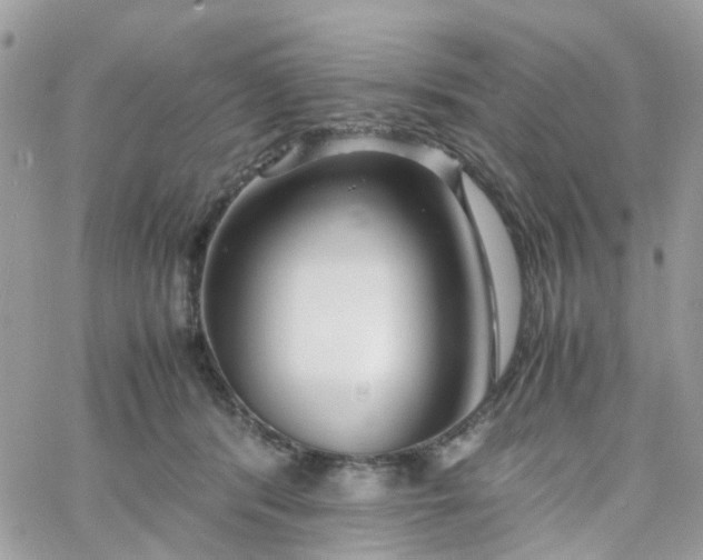 X0000066080416200603241437