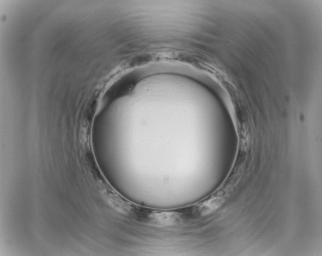 X0000066080417200603241437