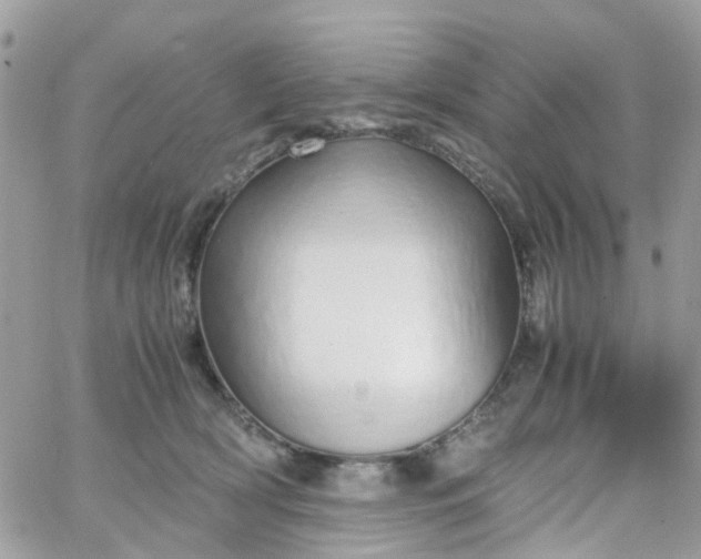 X0000066080418200603241437