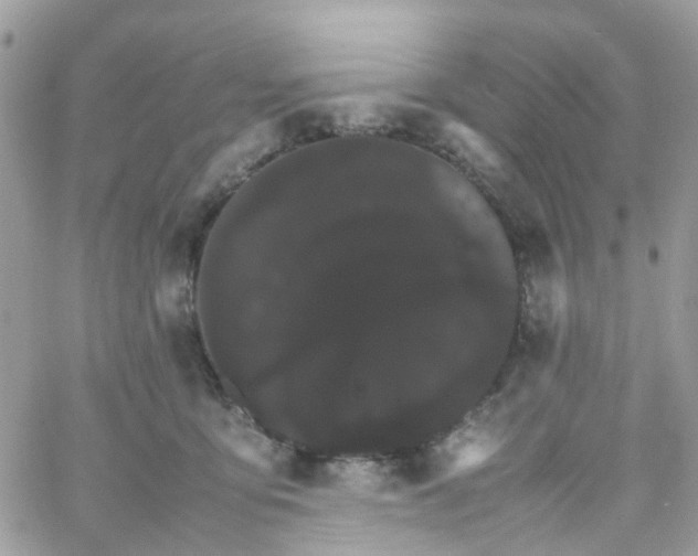 X0000066080419200603241437