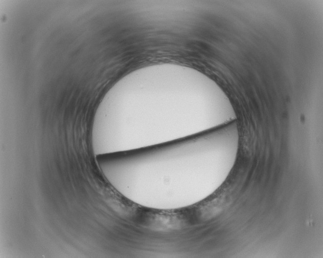 X0000066080420200603241437