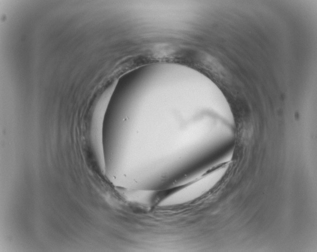 X0000066080421200603241437