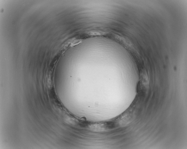 X0000066080422200603241437