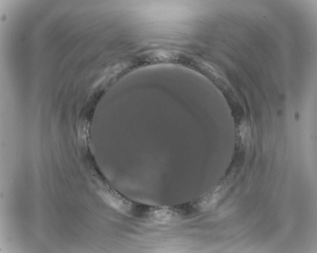 X0000066080423200603241437