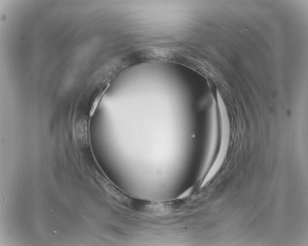 X0000066080425200603241437