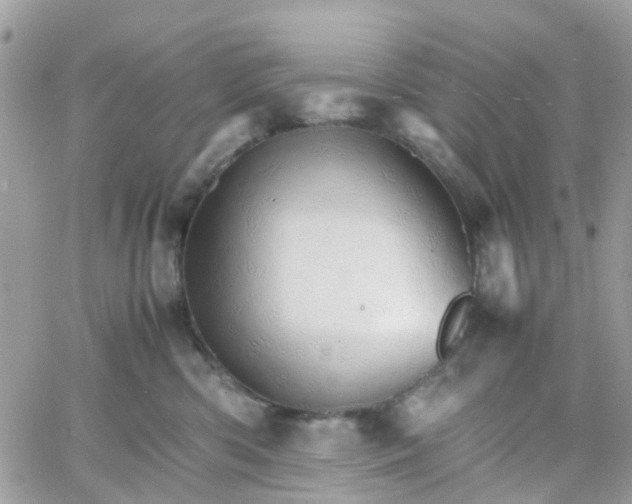 X0000066080426200603241436