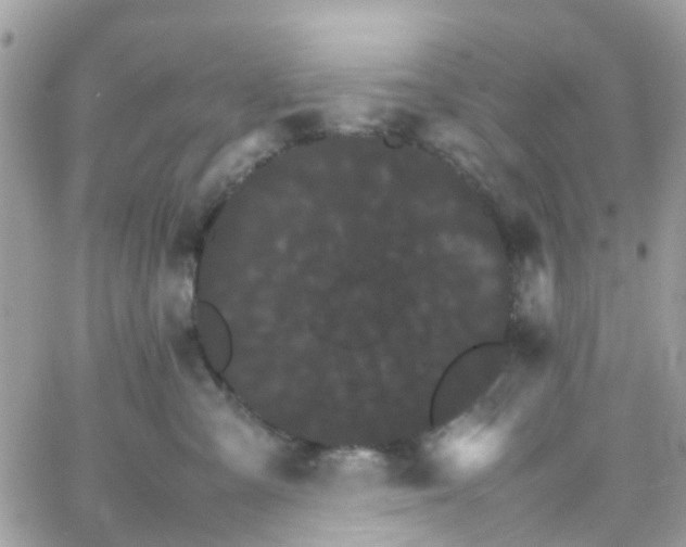 X0000066080427200603241436