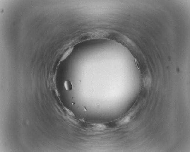 X0000066080429200603241436