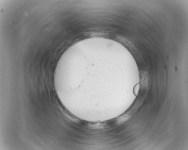 X0000066080430200603241436