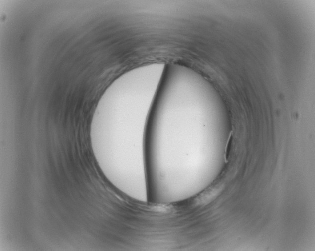 X0000066080432200603241436