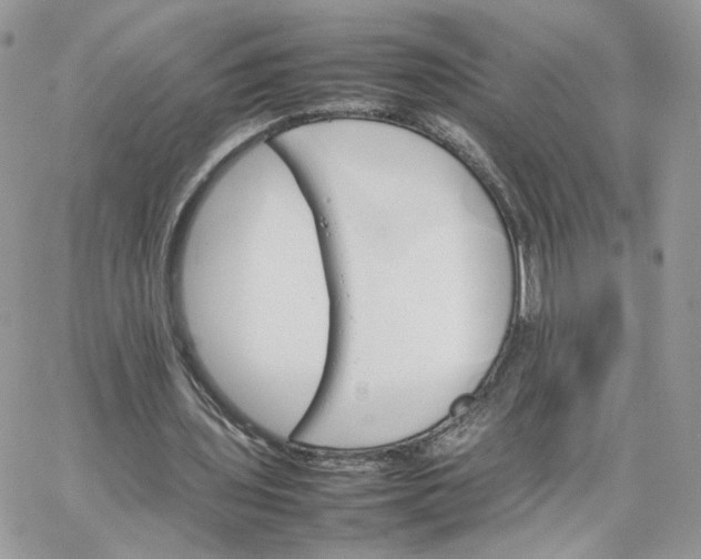 X0000066080435200603241436