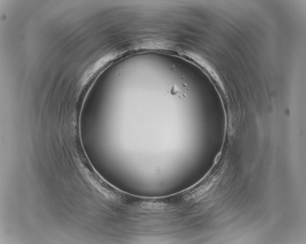 X0000066080437200603241436