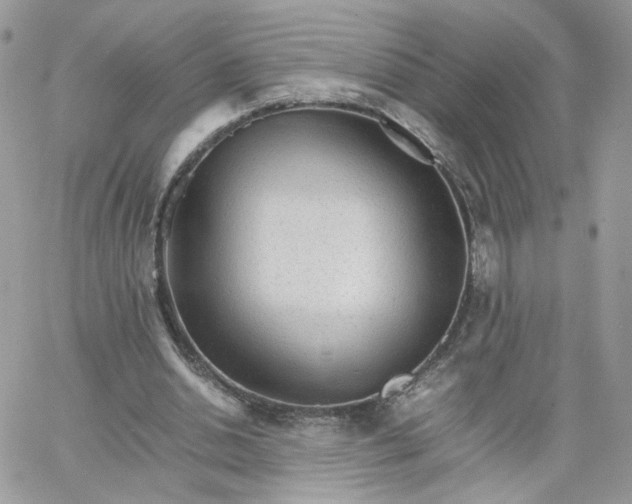 X0000066080438200603241436