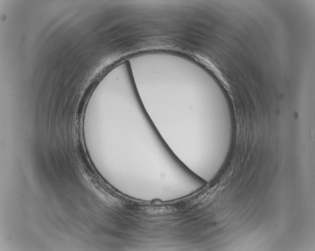 X0000066080439200603241436