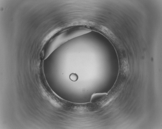 X0000066080440200603241436