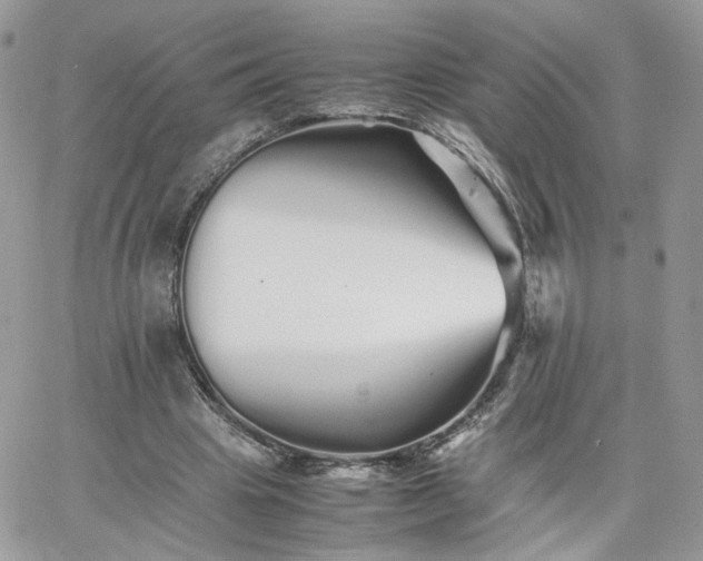 X0000066080441200603241436