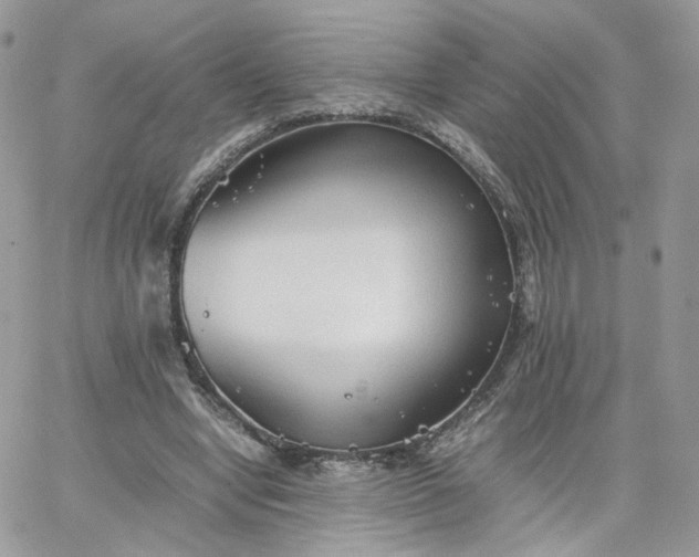 X0000066080442200603241436