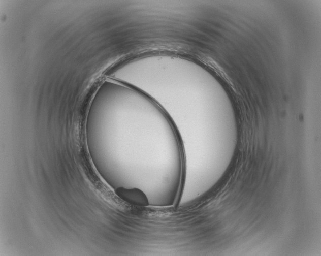 X0000066080444200603241436