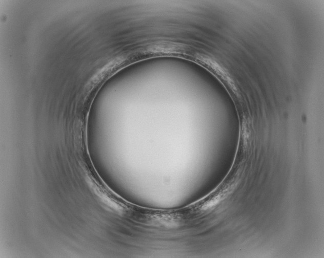 X0000066080445200603241436