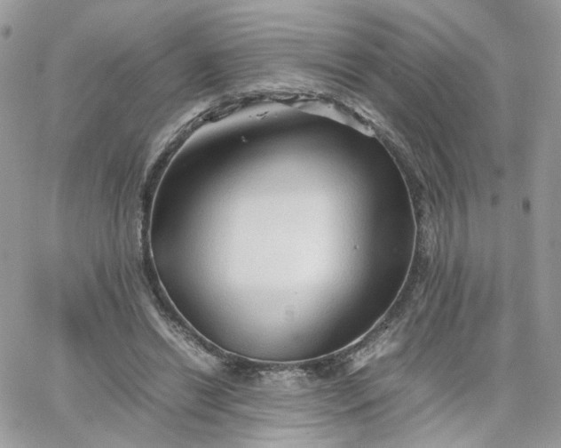 X0000066080446200603241436